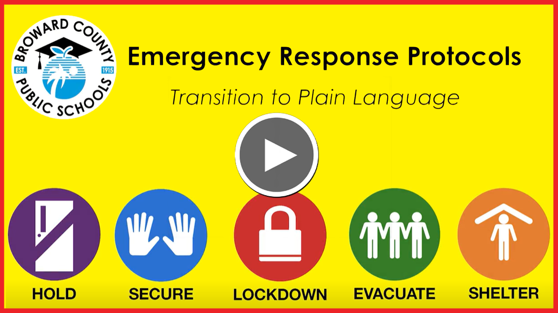 ERP - Plain Language Video